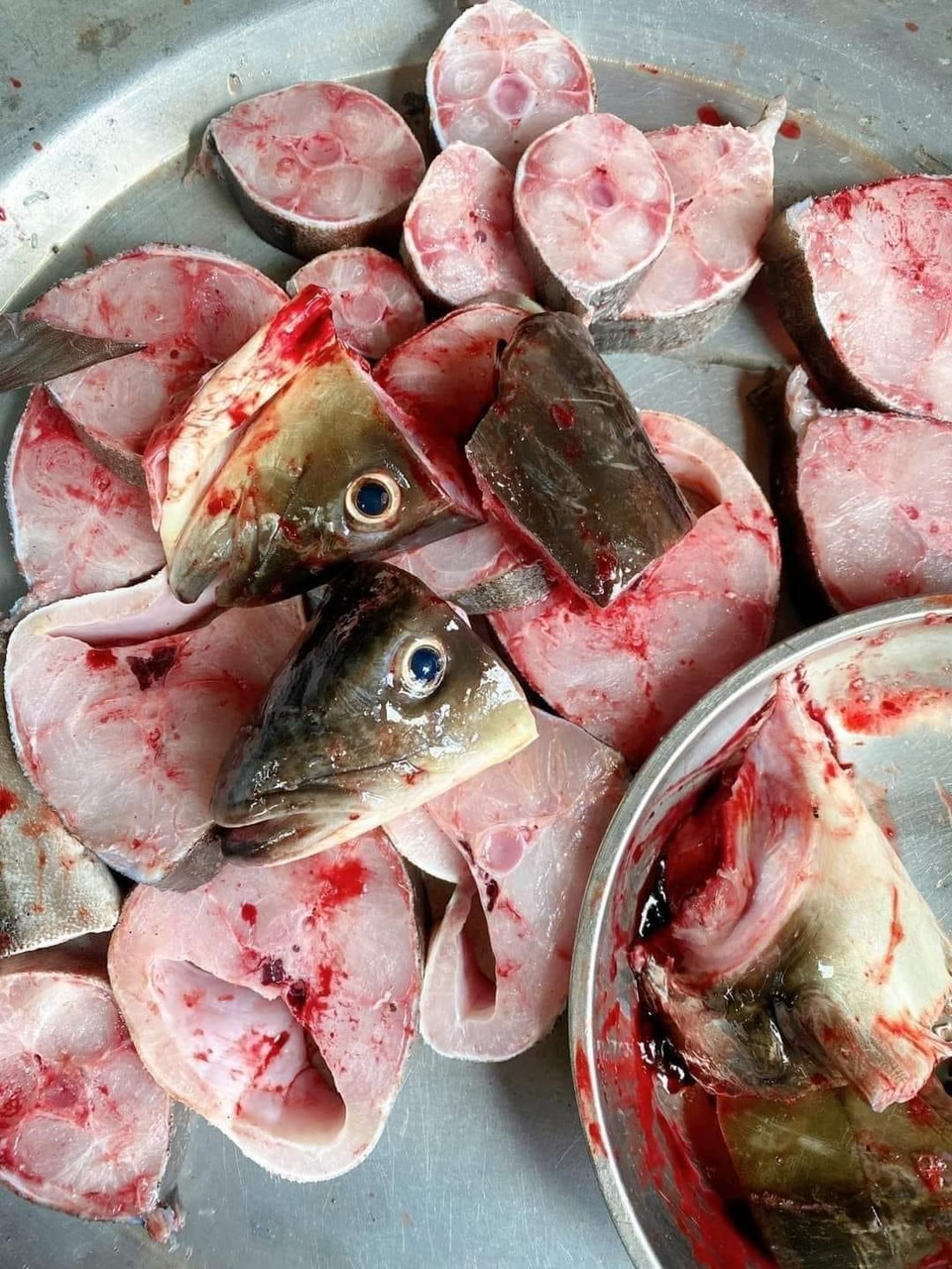 CÁ BỚP NẤU CHUA - 2