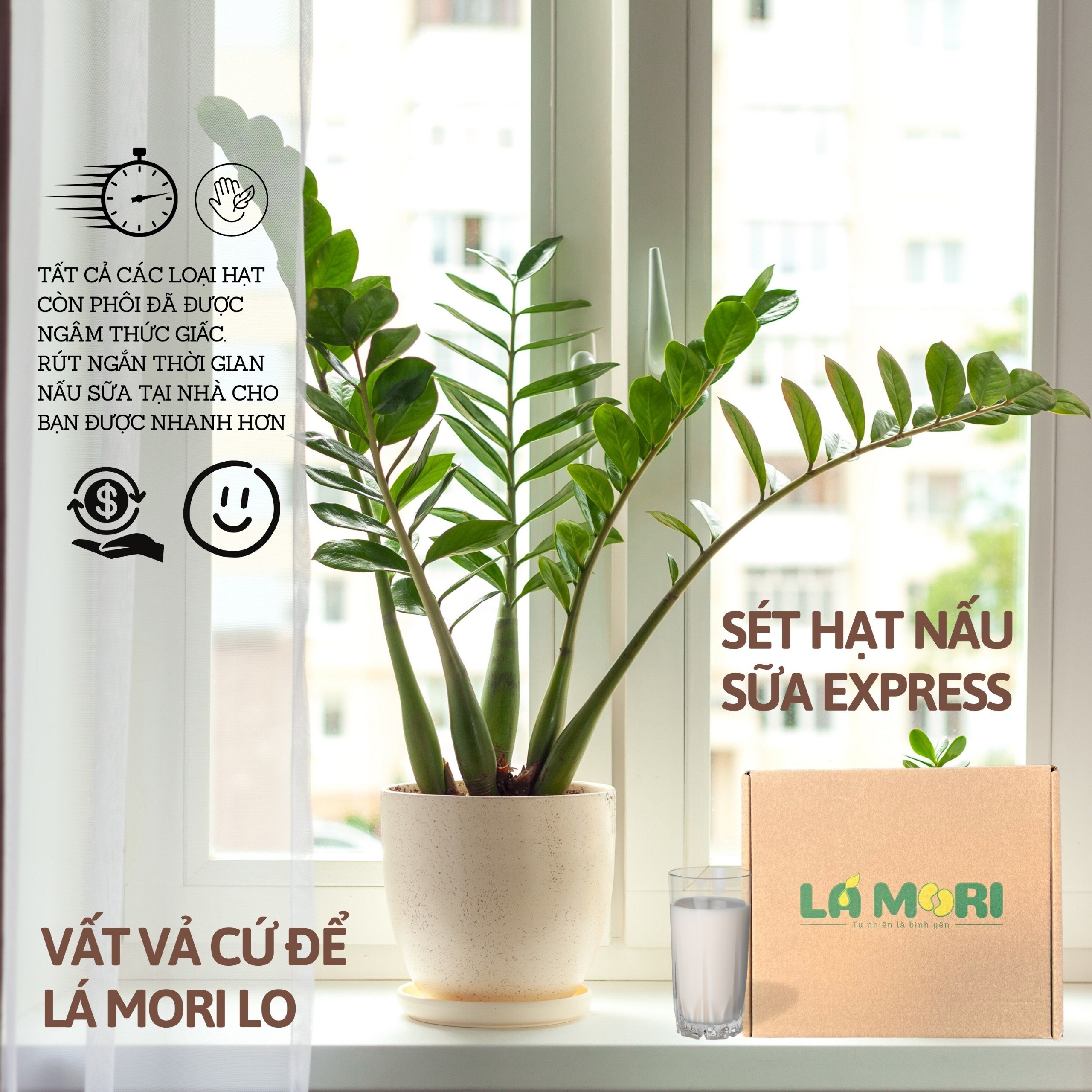 Sét Hạt Nấu Sữa Xpress