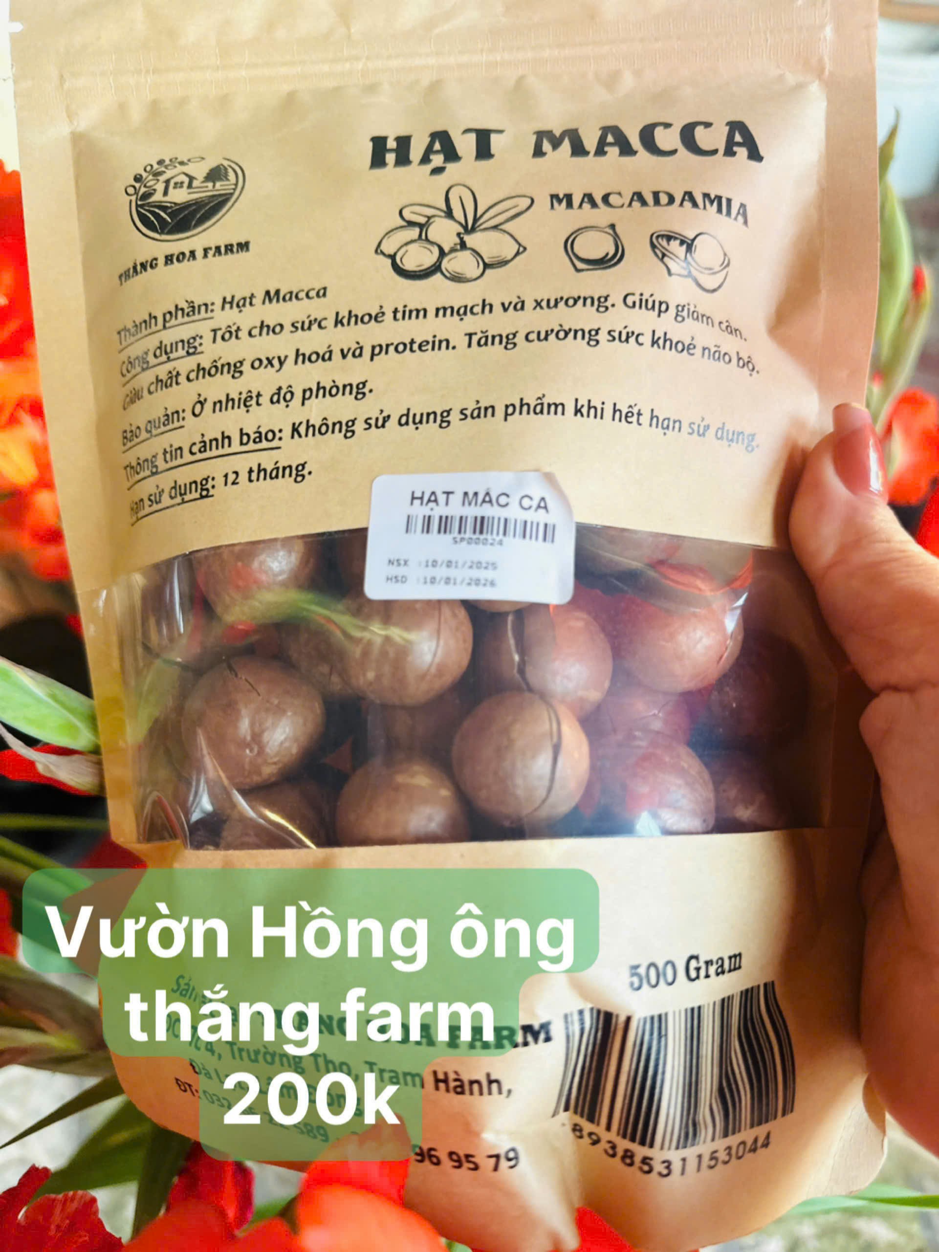 Hạt Macca