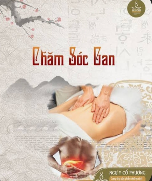 Thông dưỡng gan - 2