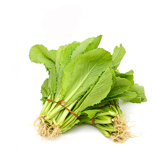 Cải mèo