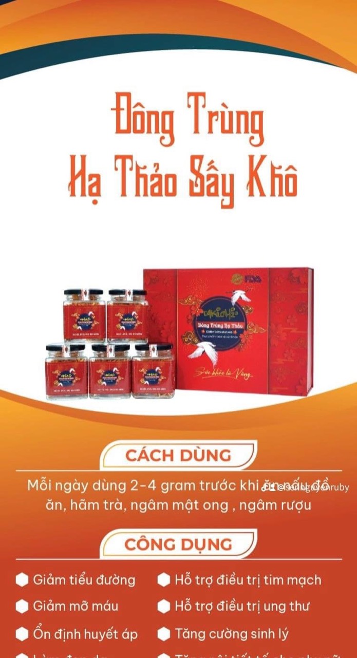Nấm Đông Trùng Hạ Thảo Tươi