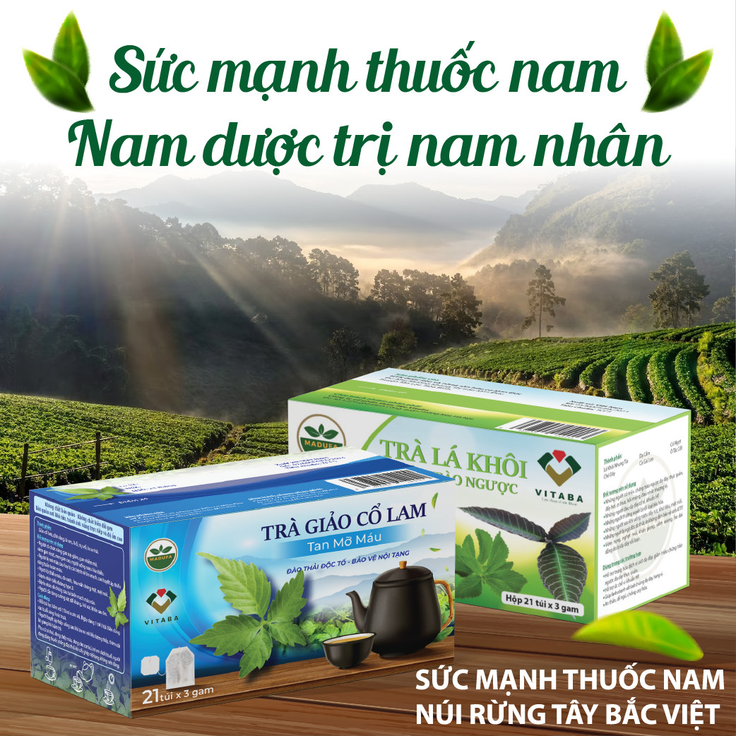 Trà Giảo Cổ Lan Tan Mỡ Máu