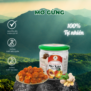 Mơ gừng (chua mặn ngọt) 200g